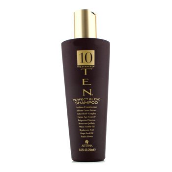 10 The Science of TEN Perfect Blend Champú