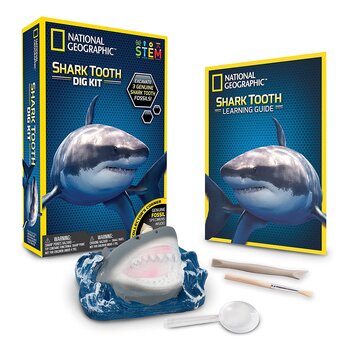 Kit de excavación de dientes de tiburón de National Geographic