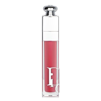 Addict Lip Maximizer Gloss - # 024 Intense Brick
